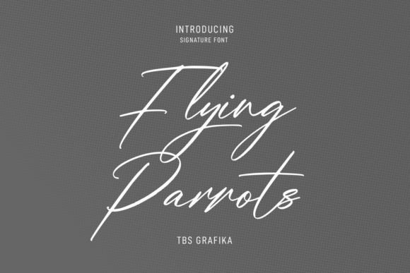 Flying Parrots Font: Add Personality to Your Brand Identity