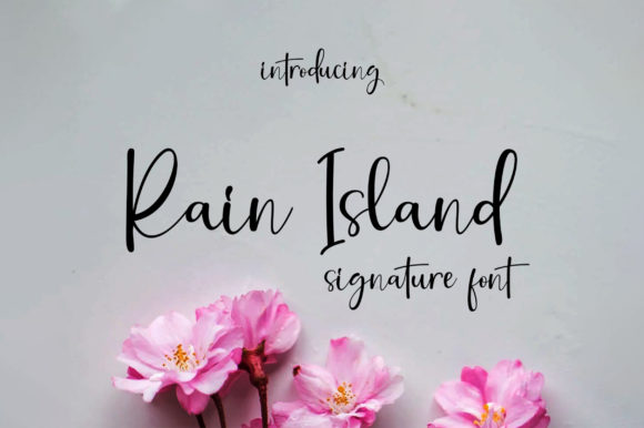 Rain Island: A Premium Script Font for Modern Web Design