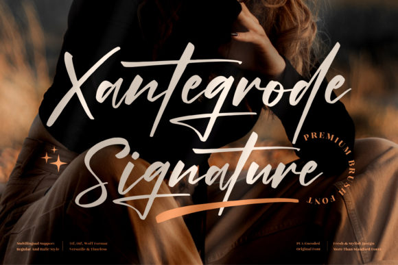 Xantegrode Signature: The Elegance That Elevates Your Campaign